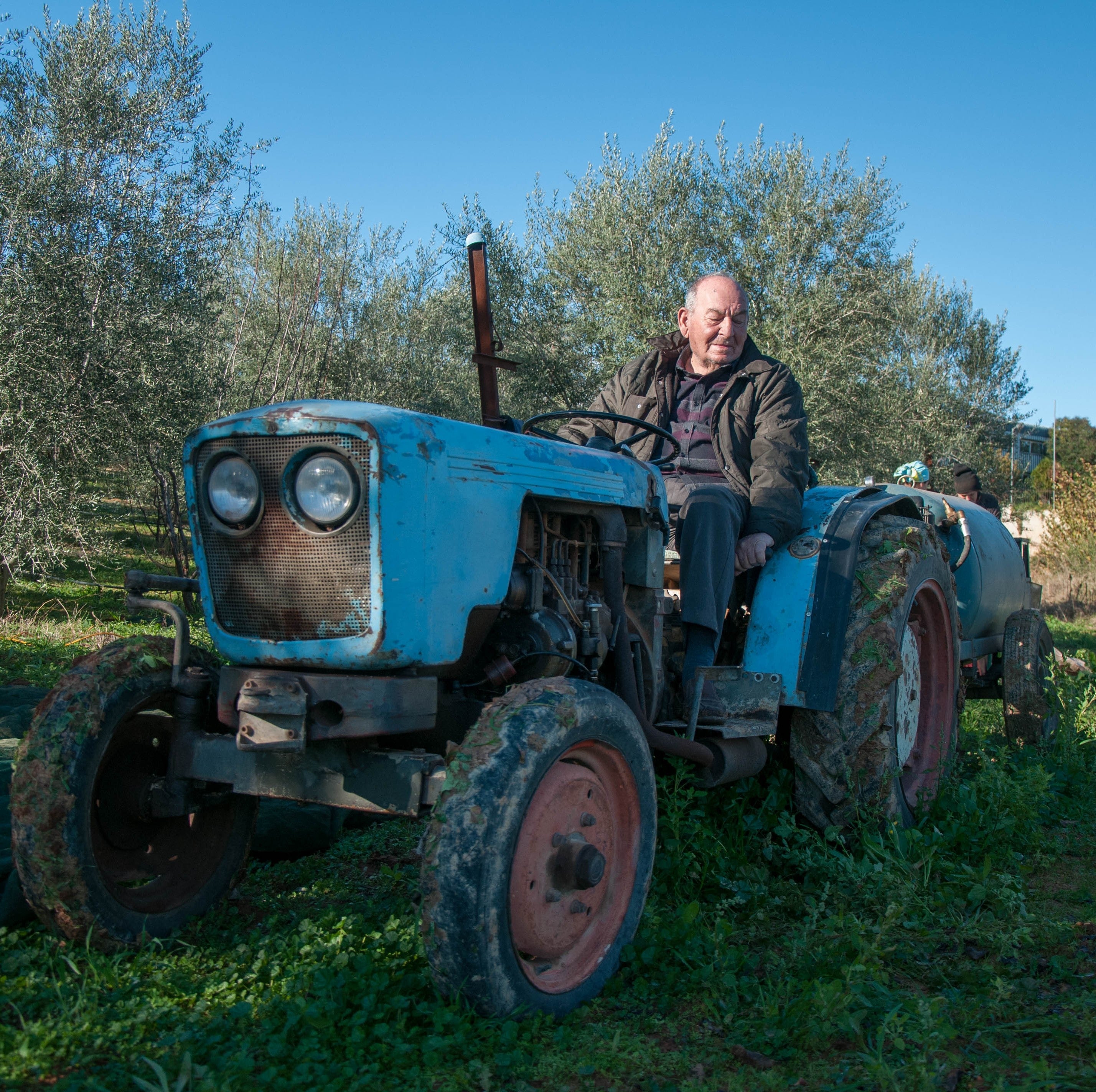 Mr. Papou's Authentic Extra Virgin Olive Oil | Greek EVOO